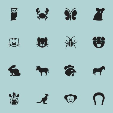 16 düzenlenebilir Hayvanat Bahçesi simgeler kümesi. İnek, Bunny, Kanguru ve daha fazlası gibi simgeler içerir. Web, mobil, UI ve Infographic tasarımı için kullanılabilir.