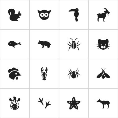 16 düzenlenebilir Hayvanat Bahçesi simgeler kümesi. Tatlım, Hamam böceği, vahşi kemirgen ve daha fazlası gibi simgeler içerir. Web, mobil, UI ve Infographic tasarımı için kullanılabilir.