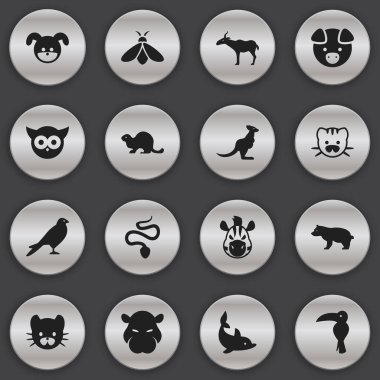 16 düzenlenebilir hayvan simgeler kümesi. Gece Fowl, at ve köpek yavrusu gibi simgeler içerir. Web, mobil, UI ve Infographic tasarımı için kullanılabilir.
