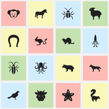 16 düzenlenebilir zooloji simgeler kümesi. Hamam böceği, ahtapot, maymun ve daha fazlası gibi simgeler içerir. Web, mobil, UI ve Infographic tasarımı için kullanılabilir.