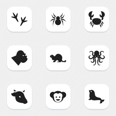 9 düzenlenebilir Hayvanat Bahçesi simgeler kümesi. Deniz buzağı, ıstakoz, Arachind ve daha fazlası gibi simgeler içerir. Web, mobil, UI ve Infographic tasarımı için kullanılabilir.