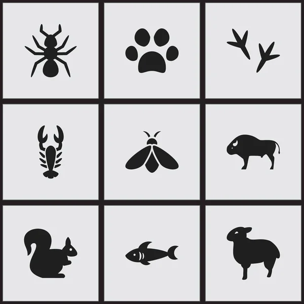 Set de 9 iconos editables de Zoología. Incluye símbolos como cangrejo, bisonte, miel y más. Puede ser utilizado para el diseño de la tela, móvil, interfaz de usuario e infografía . — Vector de stock