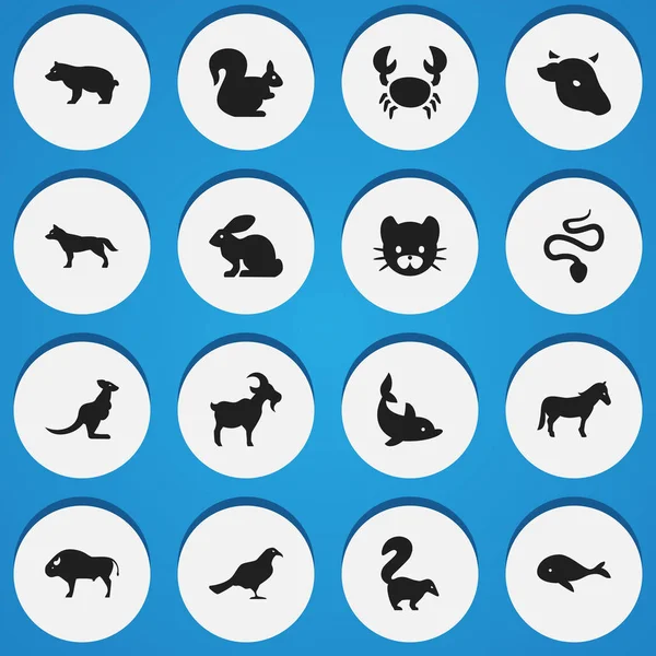 16 düzenlenebilir Hayvanat Bahçesi simgeler kümesi. Kedi, Bizon, oynak balık ve daha fazlası gibi simgeler içerir. Web, mobil, UI ve Infographic tasarımı için kullanılabilir.