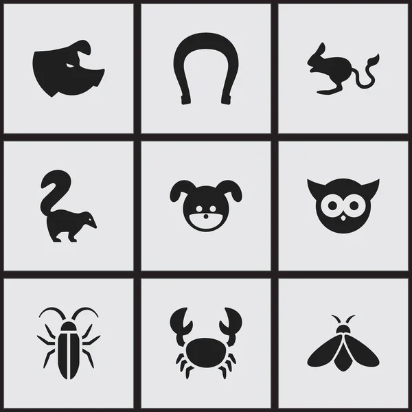 Ensemble de 9 icônes de nature modifiables. Comprend des symboles tels que miel, mouffette, semer et plus. Peut être utilisé pour le Web, mobile, interface utilisateur et infographie . — Image vectorielle