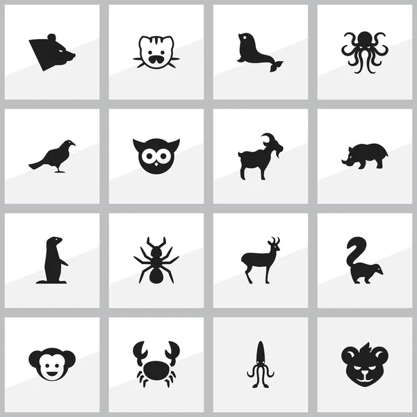 Conjunto de 16 iconos editables del zoológico. Incluye símbolos como la bestia, la marmota, la gaviota y más. Puede ser utilizado para el diseño de la tela, móvil, interfaz de usuario e infografía . — Archivo Imágenes Vectoriales