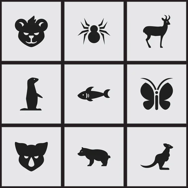 Ensemble de 9 icônes de nature modifiables. Comprend des symboles tels que Wallaby, Arachind, Rhinocéros et plus encore. Peut être utilisé pour le Web, mobile, interface utilisateur et infographie . — Image vectorielle