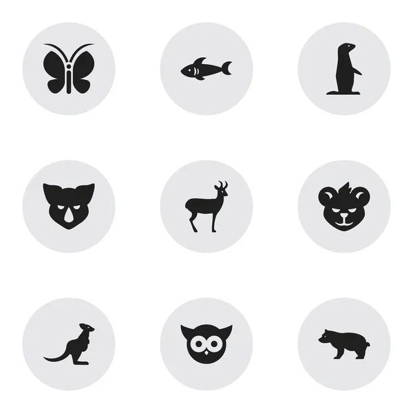 Set de 9 iconos editables del zoológico. Incluye símbolos como el animal polar, la marmota, el tigre y más. Puede ser utilizado para el diseño de la tela, móvil, interfaz de usuario e infografía . — Archivo Imágenes Vectoriales