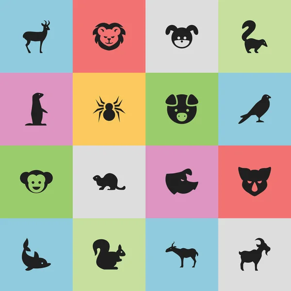 Set di 16 icone zoologiche modificabili. Include simboli come pesce giocoso, semina, marmotta e altro ancora. Può essere utilizzato per la progettazione web, mobile, UI e infografica . — Vettoriale Stock