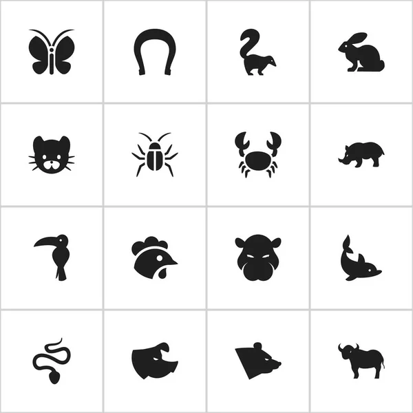 Set de 16 iconos editables de Zoología. Incluye símbolos como peces juguetones, talismán, mofeta y más. Puede ser utilizado para el diseño de la tela, móvil, interfaz de usuario e infografía . — Archivo Imágenes Vectoriales
