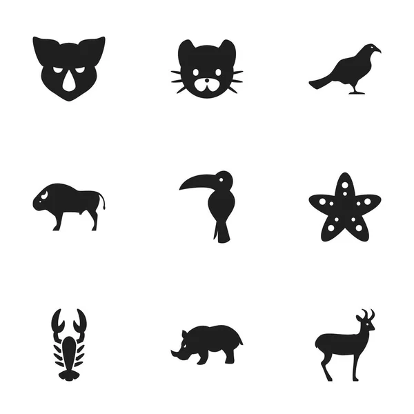 Set de 9 iconos editables de Zoología. Incluye símbolos como pájaro tropical, felino, reno y más. Puede ser utilizado para el diseño de la tela, móvil, interfaz de usuario e infografía . — Archivo Imágenes Vectoriales