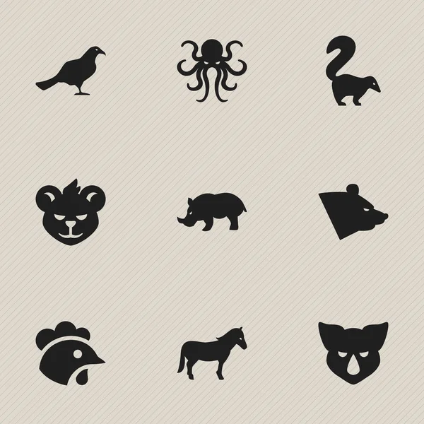 Satz von 9 editierbaren Zoologie-Symbolen. enthält Symbole wie Nashorn, Hengst, Nashorn und mehr. kann für Web-, Mobil-, UI- und Infografik-Design verwendet werden. — Stockvektor