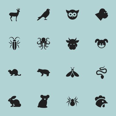 16 düzenlenebilir zooloji simgeler kümesi. Horoz, Kine, bal ve daha fazla gibi simgeler içerir. Web, mobil, UI ve Infographic tasarımı için kullanılabilir.