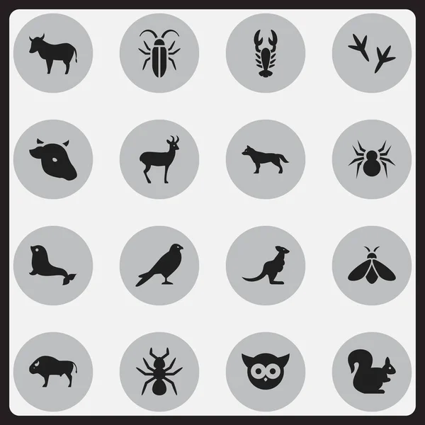 Conjunto de 16 iconos editables del zoológico. Incluye símbolos tales como toro, roedor salvaje, vaca y más. Puede ser utilizado para el diseño de la tela, móvil, interfaz de usuario e infografía . — Vector de stock