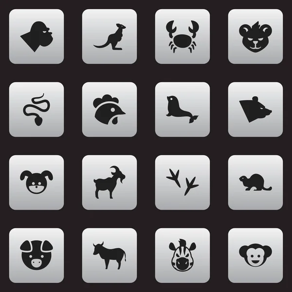 Set Of 16 Editable Nature Icons. Includes Symbols Such As Chimpanzee, Baboon, Puppy And More. Can Be Used For Web, Mobile, UI And Infographic Design. — Stock Vector