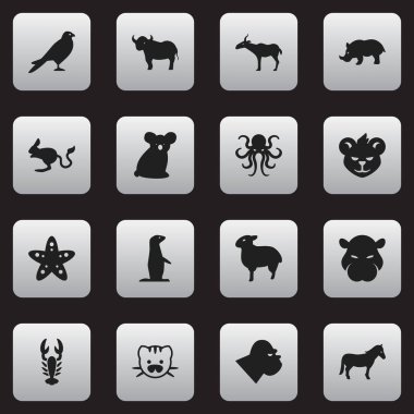 16 düzenlenebilir doğa simgeler kümesi. Kuzu, su aygırı, Avustralya ayı ve daha fazlası gibi simgeler içerir. Web, mobil, UI ve Infographic tasarımı için kullanılabilir.