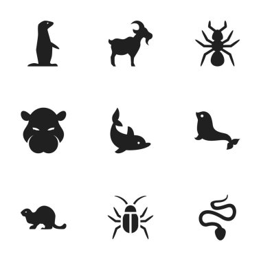 9 düzenlenebilir hayvan simgeler kümesi. Tahtakurusu, su aygırı, hamamböceği ve daha fazlası gibi simgeler içerir. Web, mobil, UI ve Infographic tasarımı için kullanılabilir.