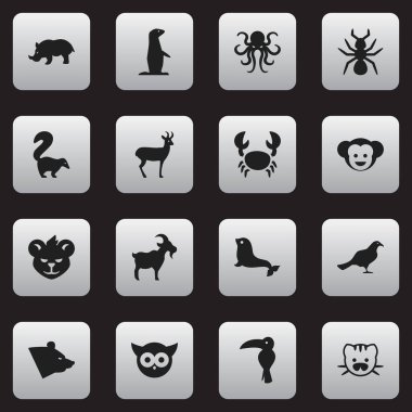 16 düzenlenebilir zooloji simgeler kümesi. Martı, Ren geyiği, köstebek ve daha fazlası gibi simgeler içerir. Web, mobil, UI ve Infographic tasarımı için kullanılabilir.