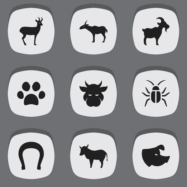 Set de 9 iconos editables de Zoología. Incluye símbolos como Kine, Ganado, Talismán y más. Puede ser utilizado para el diseño de la tela, móvil, interfaz de usuario e infografía . — Archivo Imágenes Vectoriales