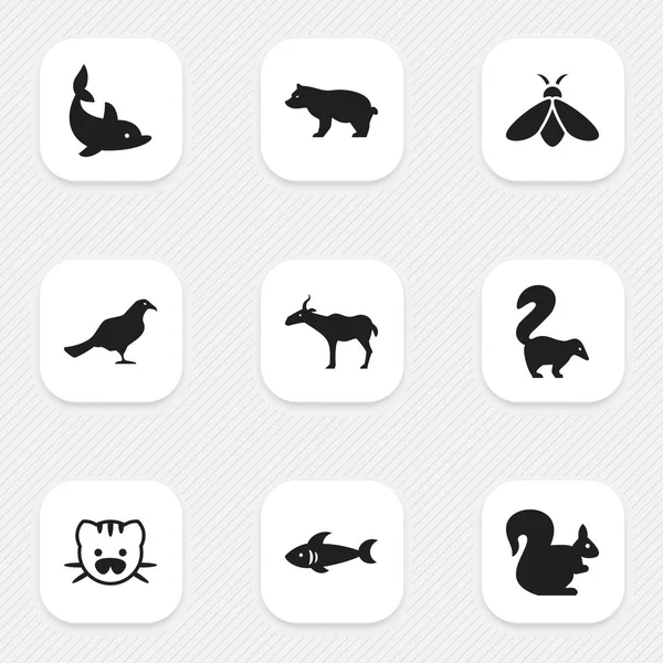 Set van 9 bewerkbare dierlijke pictogrammen. Bevat symbolen zoals Gazelle, Beast, Polar dier en meer. Kan worden gebruikt voor Web, Mobile, Ui en Infographic Design. — Stockvector