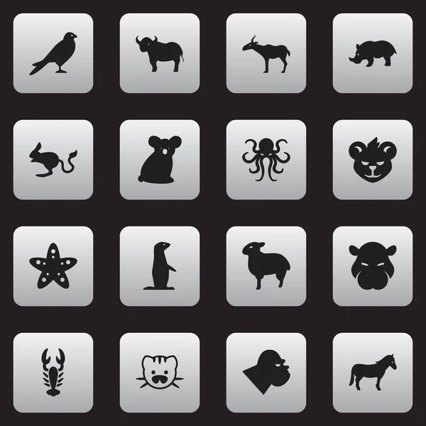 Set Of 16 Editable Nature Icons. Includes Symbols Such As Lamb, Hippopotamus, Australian Bear And More. Can Be Used For Web, Mobile, UI And Infographic Design. — Stock Vector