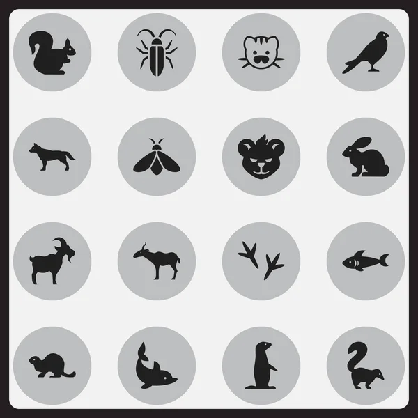 Set van 16 bewerkbare natuur iconen. Bevat symbolen zoals Groundhog, Tiger, Wildlife Castor en meer. Kan worden gebruikt voor Web, Mobile, Ui en Infographic Design. — Stockvector