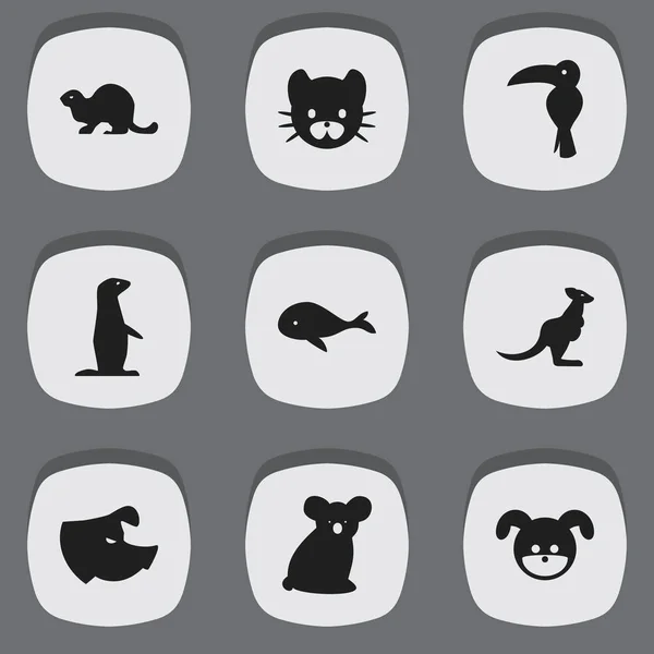 Zestaw 9 ikon można edytować Zoo. Zawiera symbole, takie jak tropikalnych ptaków, Ocean dmuchawy, australijski niedźwiedź i więcej. Mogą być używane dla sieci Web, mobilnych, interfejsu użytkownika i Infographic Design. — Wektor stockowy
