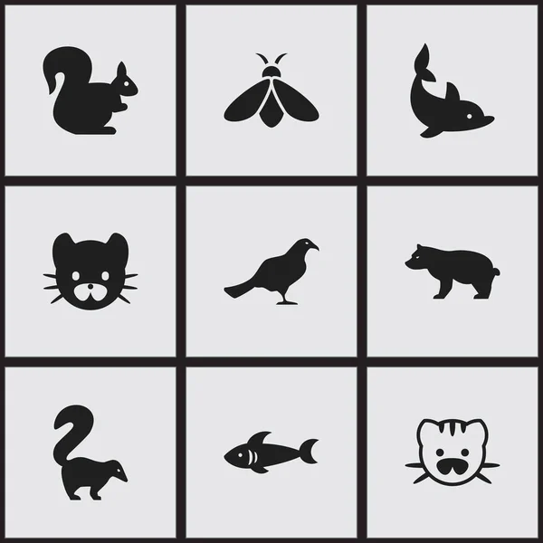 Ensemble de 9 icônes de zoo modifiables. Comprend des symboles tels que animal polaire, bête, rongeur sauvage et plus encore. Peut être utilisé pour le Web, mobile, interface utilisateur et infographie . — Image vectorielle