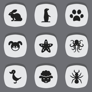 9 düzenlenebilir doğa simgeler kümesi. Koyun, dokunaç, Forepaw ve daha fazlası gibi simgeler içerir. Web, mobil, UI ve Infographic tasarımı için kullanılabilir.