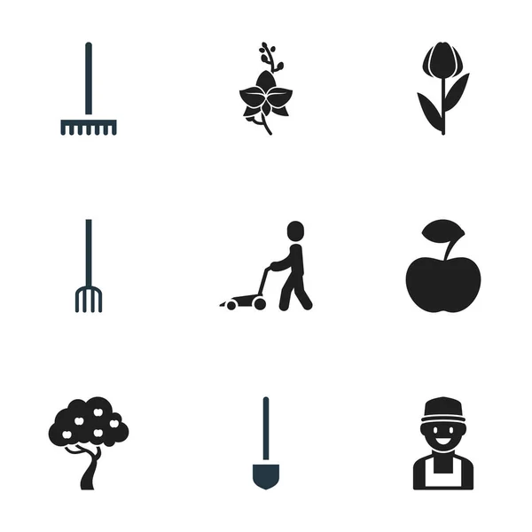 Set di 9 icone dell'agricoltura modificabili. Include simboli come erba tagliatrice, fiore, frutta fresca e altro ancora. Può essere utilizzato per la progettazione web, mobile, UI e infografica . — Vettoriale Stock