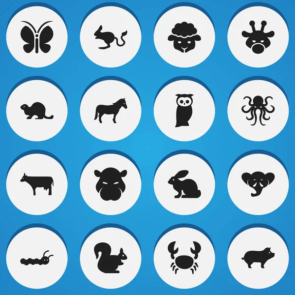 Set med 16 redigerbara zoologi ikoner. Innehåller symboler som Snabel, gris, kanin och mer. Kan användas för webb-, mobil-, Ui- och Infographic Design. — Stock vektor