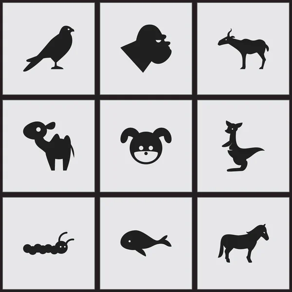 Set von 9 editierbaren Tiersymbolen. enthält Symbole wie Schimpanse, Dromedar, Adler und mehr. kann für Web-, Mobil-, UI- und Infografik-Design verwendet werden. — Stockvektor