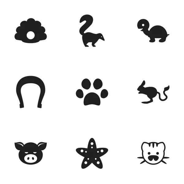 Zestaw 9 ikon edycji natura. Zawiera symbole, takie jak świnka, skostniałych, koncha i więcej. Mogą być używane dla sieci Web, mobilnych, interfejsu użytkownika i Infographic Design. — Wektor stockowy