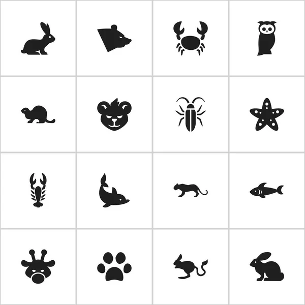 Sada 16 upravitelné Zoo ikon. Obsahuje symboly Sea Star, tygr, Grizzly a další. Lze použít pro webové, mobilní, Ui a infografika Design. — Stockový vektor