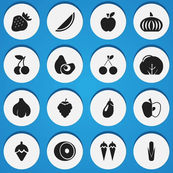 Набор из 16 редактируемых вегетарианских икон. Включает такие символы, как фрукты, виноград, лимон и многое другое. Can be used for Web, Mobile, UI and Infographic Design . — стоковый вектор