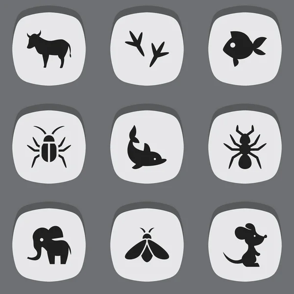 Set de 9 iconos animales editables. Incluye símbolos como chinche, vaca, miel y más. Puede ser utilizado para el diseño de la tela, móvil, interfaz de usuario e infografía . — Vector de stock