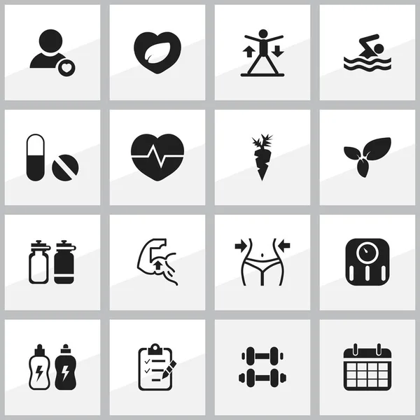 Zestaw 16 ikon edycji Sport. Zawiera symbole, takie jak pływanie, Data Plan, liść w serca i więcej. Mogą być używane dla sieci Web, mobilnych, interfejsu użytkownika i Infographic Design. — Wektor stockowy