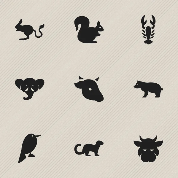 Set Of 9 Editable Nature Icons. Includes Symbols Such As Polar Animal, Proboscis, Wild Rodent And More. Can Be Used For Web, Mobile, UI And Infographic Design. — Stock Vector