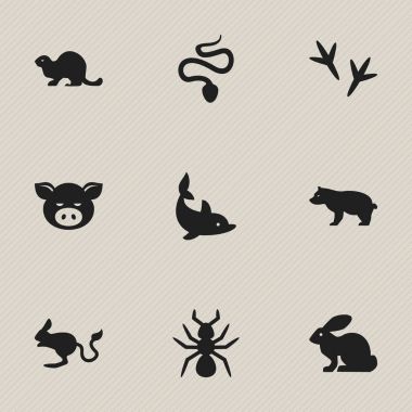 9 düzenlenebilir hayvan simgeler kümesi. Ayak izi, Bunny, oynak balık ve daha fazlası gibi simgeler içerir. Web, mobil, UI ve Infographic tasarımı için kullanılabilir.