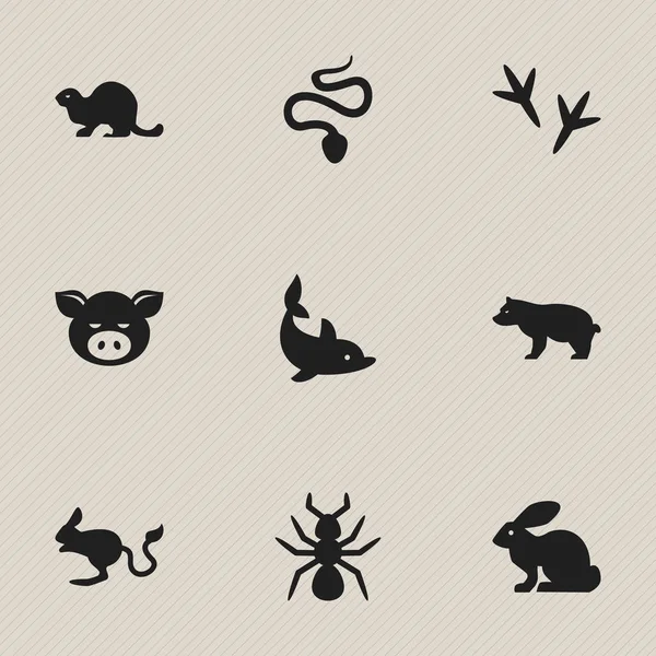 Ensemble de 9 icônes animales modifiables. Comprend des symboles tels que l'empreinte, lapin, poisson ludique et plus encore. Peut être utilisé pour le Web, mobile, interface utilisateur et infographie . — Image vectorielle