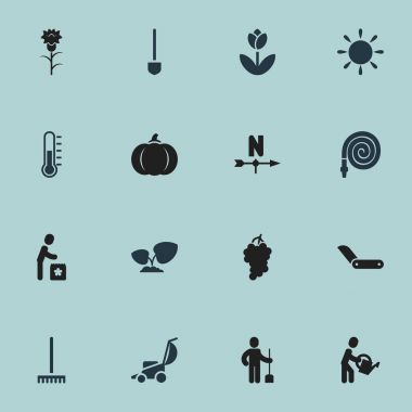 16 düzenlenebilir bitki simgeler kümesi. Küme, sıcaklık, Rüzgar yönü ve daha fazlası gibi simgeler içerir. Web, mobil, UI ve Infographic tasarımı için kullanılabilir.