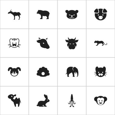 16 düzenlenebilir zooloji simgeler kümesi. Köpek, tavşan, Puma ve daha fazlası gibi simgeler içerir. Web, mobil, UI ve Infographic tasarımı için kullanılabilir.