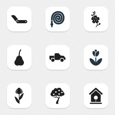 9 düzenlenebilir bitki simgeler kümesi. Sustalı bıçak, nergis, Hosepipe ve daha fazlası gibi simgeler içerir. Web, mobil, UI ve Infographic tasarımı için kullanılabilir.