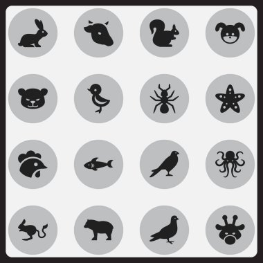 16 düzenlenebilir hayvan simgeler kümesi. Horoz, köpek yavrusu, güvercin ve daha fazlası gibi simgeler içerir. Web, mobil, UI ve Infographic tasarımı için kullanılabilir.