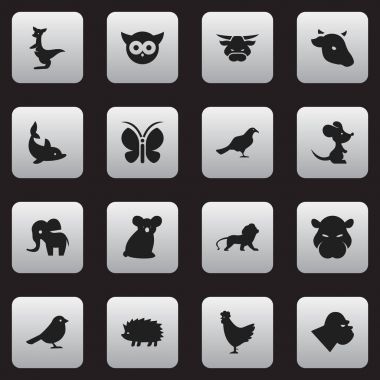 16 düzenlenebilir zooloji simgeler kümesi. Kanguru, şempanze, kirpi ve daha fazlası gibi simgeler içerir. Web, mobil, UI ve Infographic tasarımı için kullanılabilir.