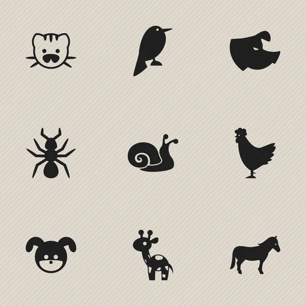 Set Of 9 Editable Zoo Icons. Includes Symbols Such As Philomel, Giraffe, Bedbug And More. Can Be Used For Web, Mobile, UI And Infographic Design. — Stock Vector