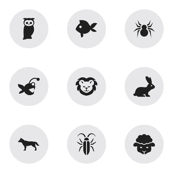 9 編集可能な動物園のアイコンのセットです。魚、カレイ、ウサギなどの記号が含まれています。ウェブ、モバイル、Ui とインフォ グラフィック デザインに使用することができます。. — ストックベクタ