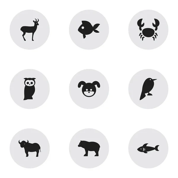 Set de 9 iconos animales editables. Incluye símbolos como buey, búho, reno y más. Puede ser utilizado para el diseño de la tela, móvil, interfaz de usuario e infografía . — Vector de stock