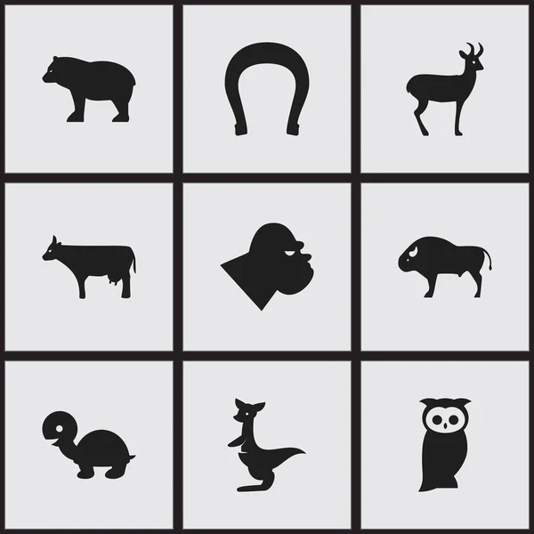 Набір з 9 для редагування іконок тварин. Включає в себе символи, наприклад, сова, Олень кине і багато іншого. Може використовуватися для веб, мобільні, призначеного для користувача інтерфейсу і інфографіки дизайн. — стоковий вектор
