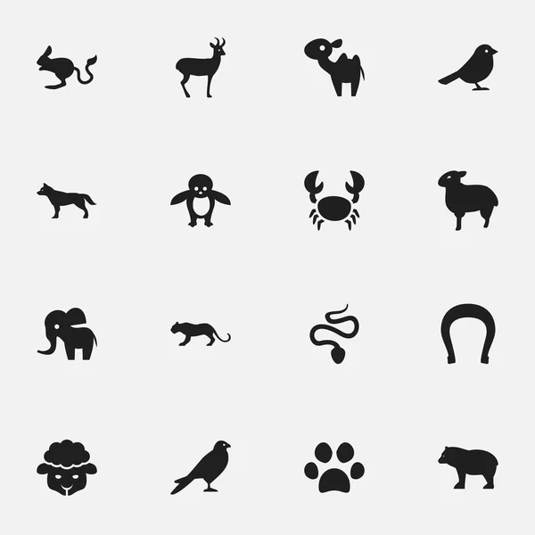 Ensemble de 16 icônes de zoo modifiables. Comprend des symboles tels que patte avant, éléphant, agneau et plus. Peut être utilisé pour le Web, mobile, interface utilisateur et infographie . — Image vectorielle