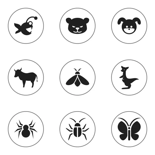 Set de 9 iconos animales editables. Incluye símbolos como cachorro, vaca, arachind y más. Puede ser utilizado para el diseño de la tela, móvil, interfaz de usuario e infografía . — Vector de stock